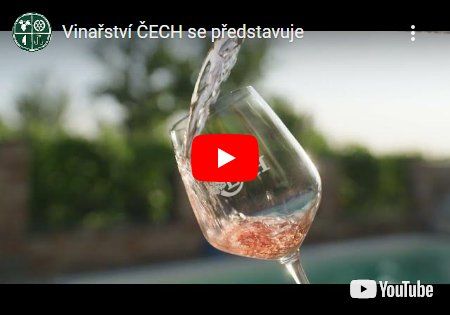 Video kanál Vinařství ČECH